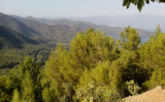 The Village Of Ekincik