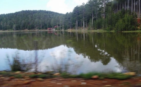 Lake Type Gokceova