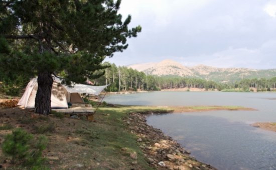 Lake Type Gokceova