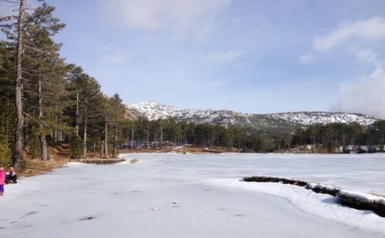 Lake Type Gokceova