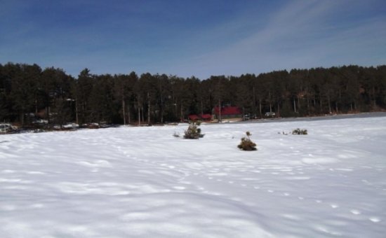 Lake Type Gokceova