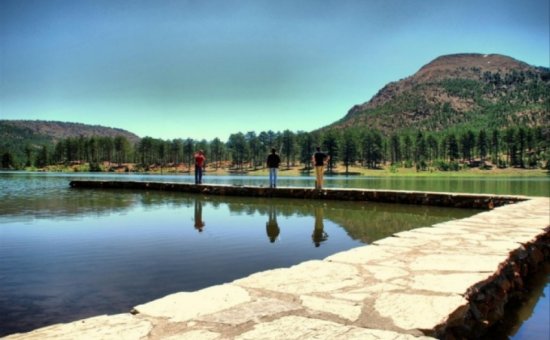 Lake Type Gokceova